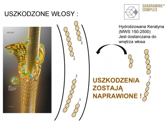 Rekonstrukcja włosów Joico K-PAK - Quadramine complex